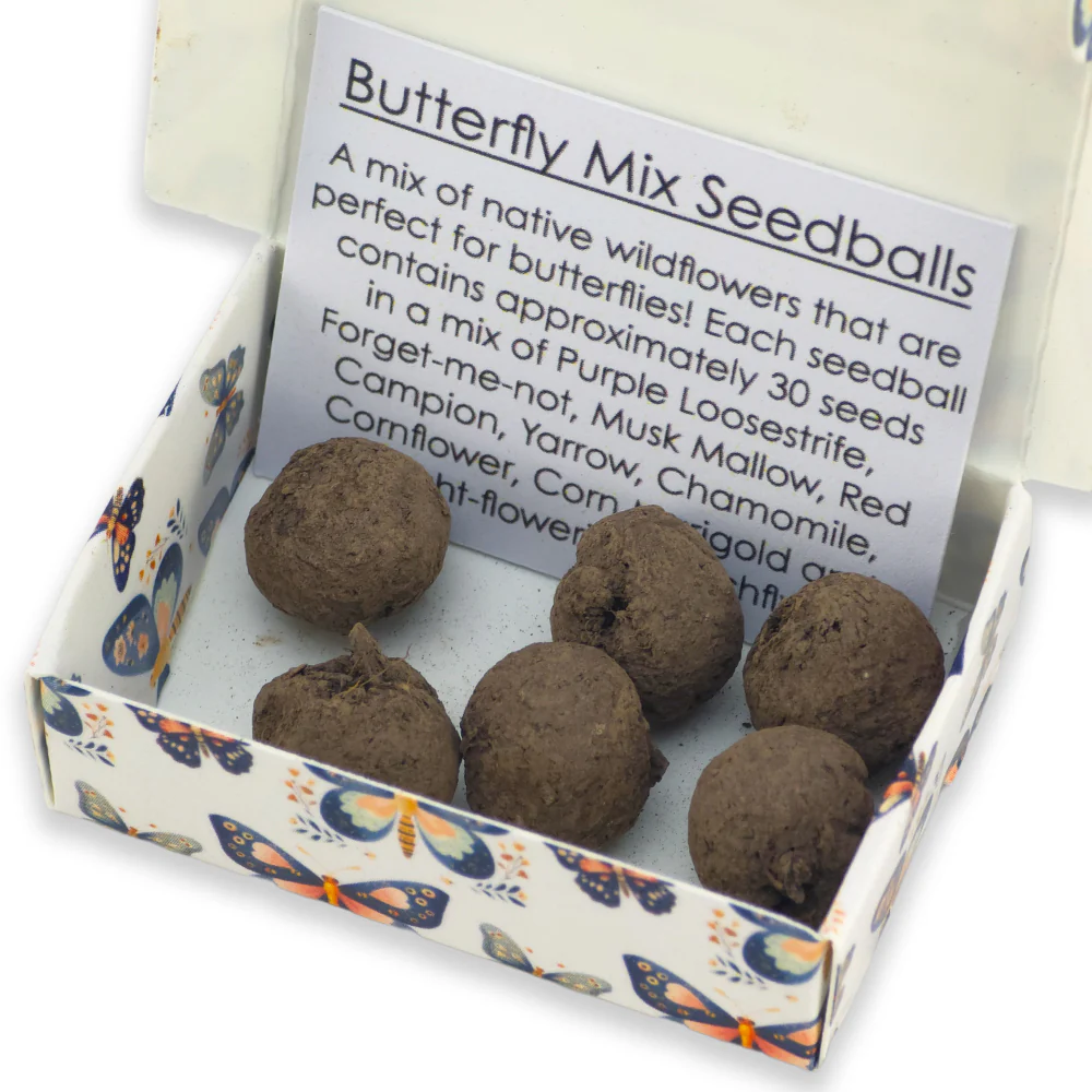 Butterfly Mix for Kids | 6 Seedball Matchbox | Cracker Filler | Little Gift - Image 3
