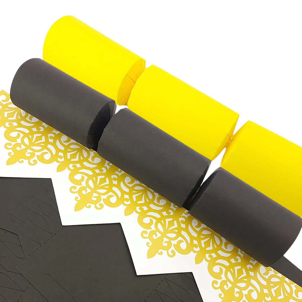 Buzzing Bee Shades | Craft Kit to Make 8 Recyclable Crackers | Cracker Making - Image 4