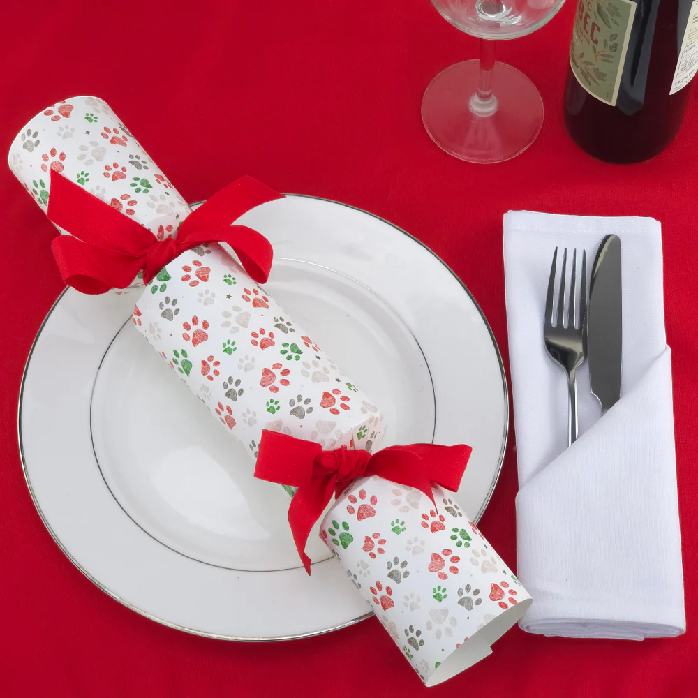 Christmas Sketched Pawprints | Eco Cracker Making Craft Kit | Make Your Own - Image 4