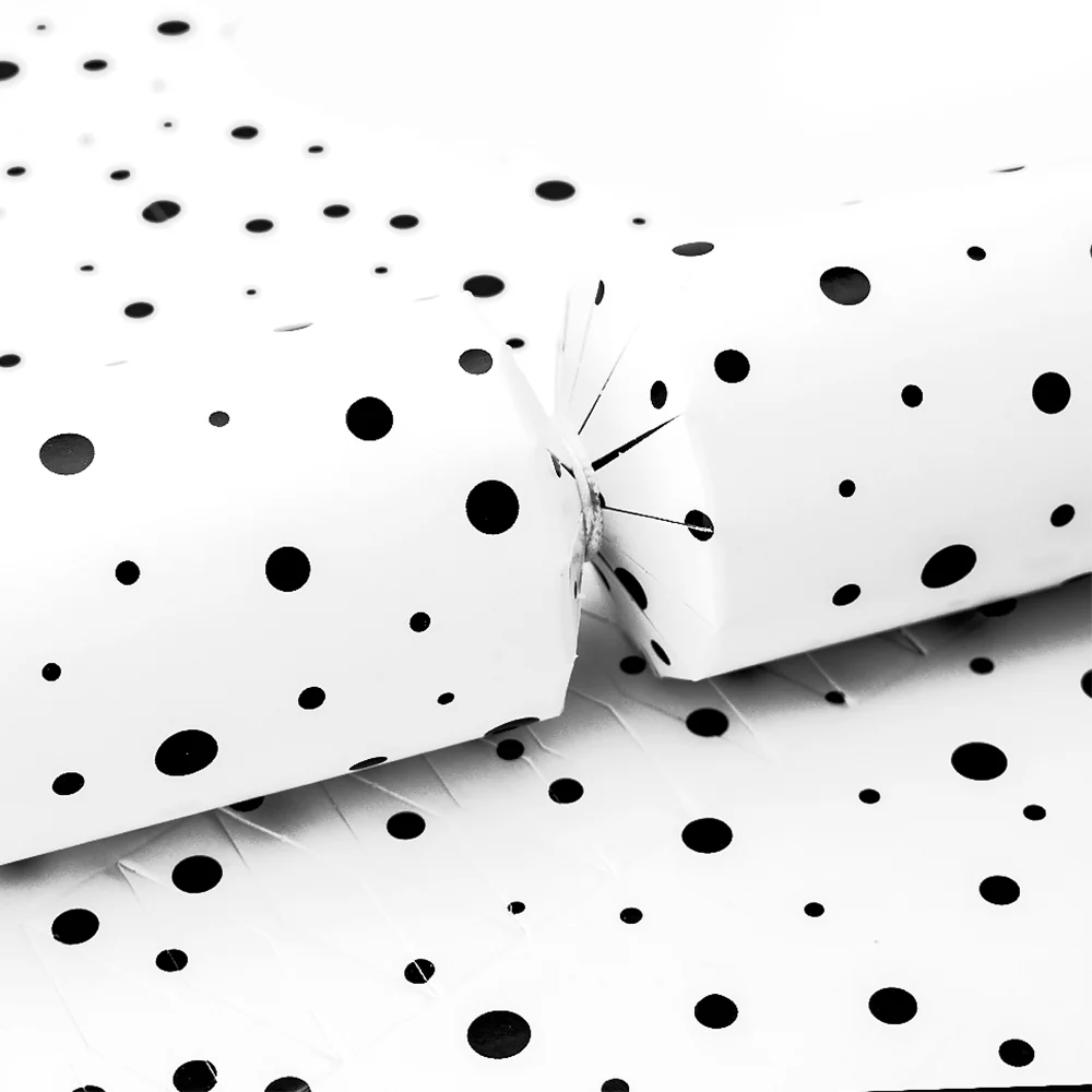 Dalmatian Dots | Cracker Making Craft Kit | Make & Fill Your Own - Image 4