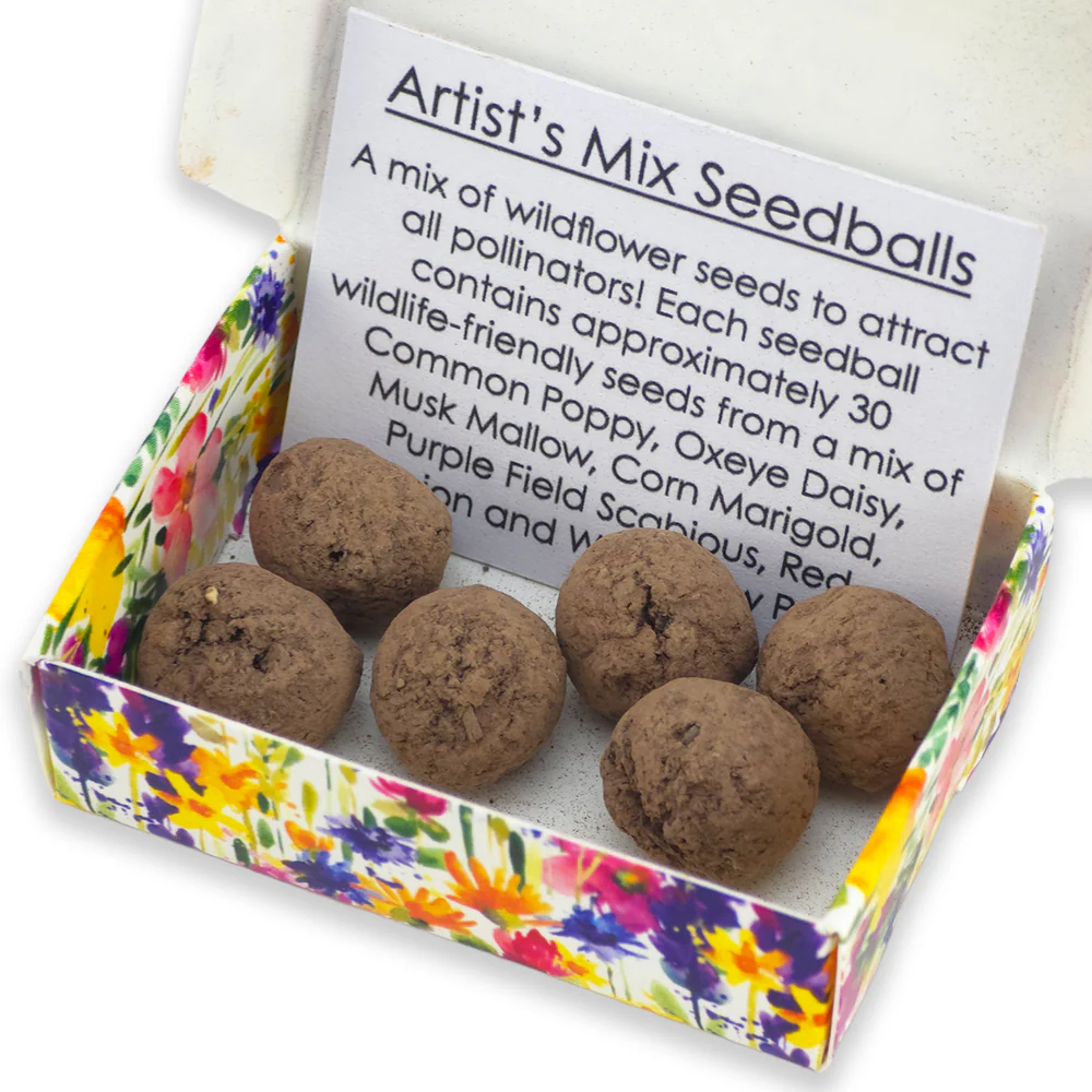 Flowers Are Like Grandparents | Artist Mix | 6 Seedball Box | Cracker Filler - Image 3