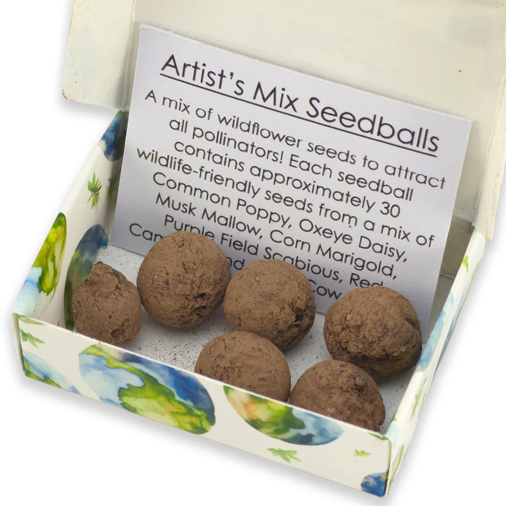 Loving Our Planet | Artist Mix | 6 Seedball Box | Cracker Filler | Little Gift - Image 3
