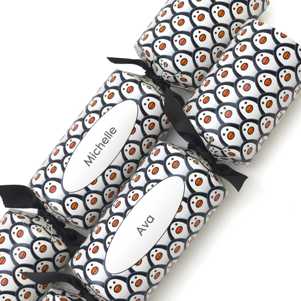 Personalised Cracker Making Craft Kit | Just Penguins |  Makes 4 or 6 Crackers - Image 4