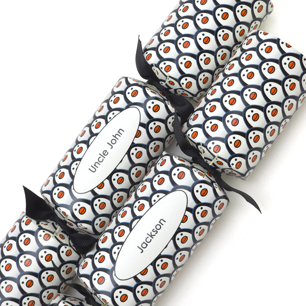 Personalised Cracker Making Craft Kit | Just Penguins |  Makes 4 or 6 Crackers - Image 7
